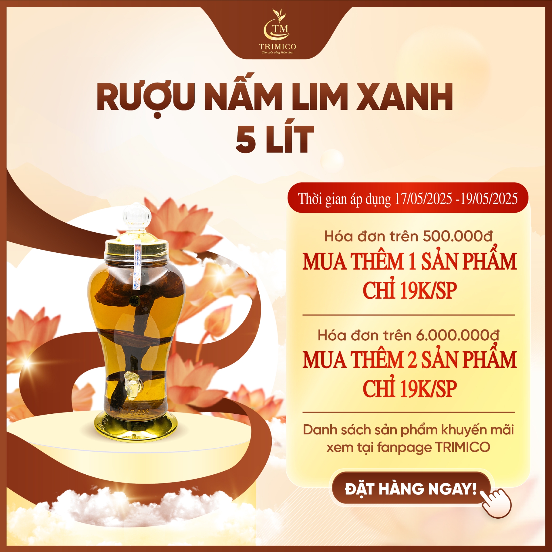 Rượu Nấm Lim Xanh 5 Lít (Nấm Nguyên Cây)
